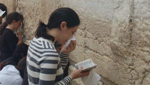 娱乐吃瓜君白鹿,娱乐吃瓜君的甜蜜蜕变之旅  第2张